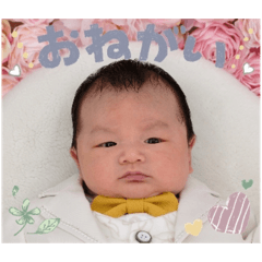 melon_20240603182138