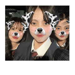 shiroo_20240603215613