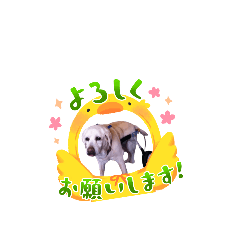 Sunny Mountain_20240603145009