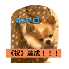 PANKITI_20240603150320