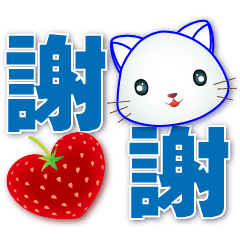 Cute White Cat-- Practical Phrases