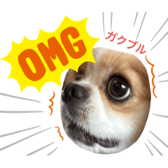 chill house_20240603115025