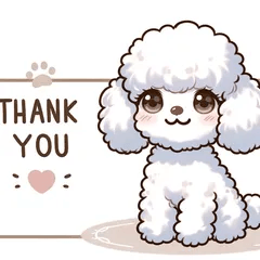 Adorable Toy Poodle Emotions