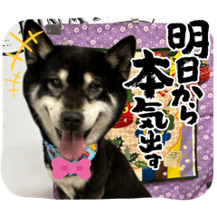eririn_20240603221756