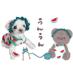 aomoji_20240603210222