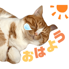 Kayo_20240603232657