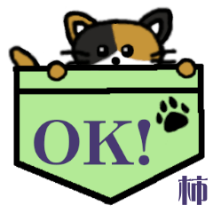 Kaki's Pocket Cat's  [4]