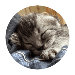 kOt EtsU_20240604122724