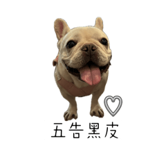 牛奶法鬥超可愛