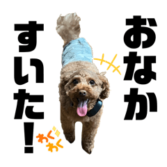 Yabakodesuuu_20240604110204