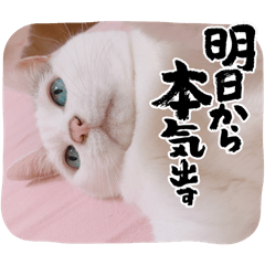 kiki chan_20240602210516