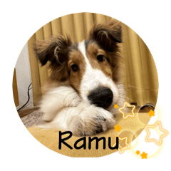 ramu_20240604060222