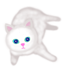 [Moving] The white cat Shiro-chan