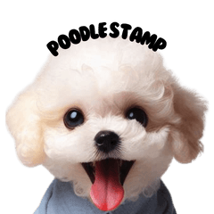 white toy poodle dogs reaction sticker