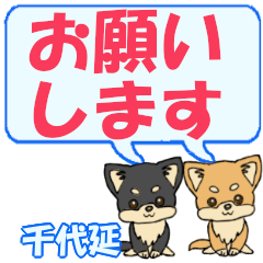 Chiyonobe's letters Chihuahua2