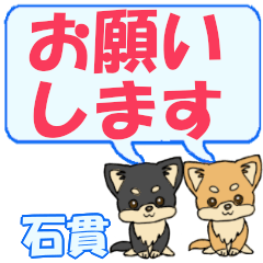 Ishinuki's letters Chihuahua2
