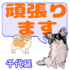 Chiyonobe's letters Chihuahua