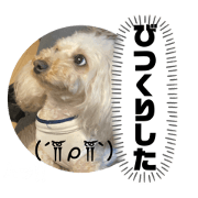 lisako_20240604134523