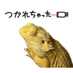 toriri-20240604145905