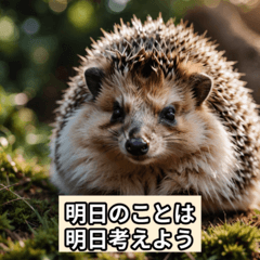 自然の魅力：表情豊かな動物スタンプ集