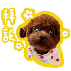 Baby stickers 40