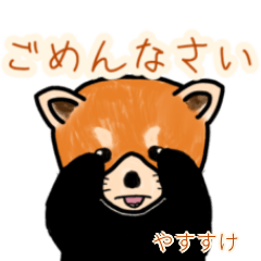 Yasusuke's lesser panda