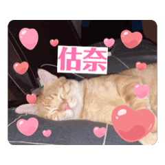 Ping_20240605124951 – LINE stickers | LINE STORE