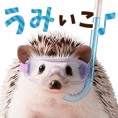 Bright Hedgehog Summer Sticker