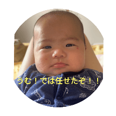 nob_20240605102620