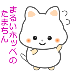 nobobi White cat with round cheeks