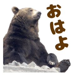 Noboribetsu Bearpark Official Sticker 3