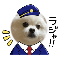 SEIRA.I_20240605002158