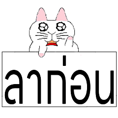 Thailand-Thai-Cute cat