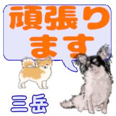Mitake's letters Chihuahua (2)