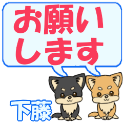 Shitafuji's letters Chihuahua2