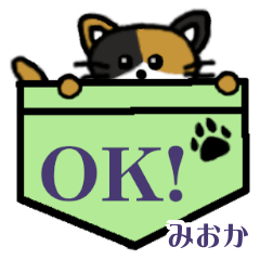 Mioka's Pocket Cat's
