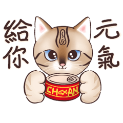 cute Achan cat