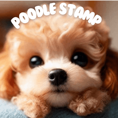 Apricot toy poodle dogs reaction sticker