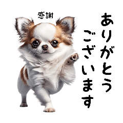 Chihuahua Stamps for Everyday Use Part 3