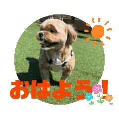 napi_20240605235612
