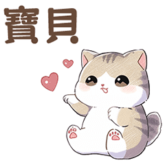 Little Cat - Hua Hua3