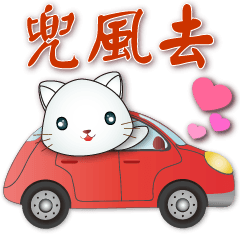 Cute white cat-useful daily life phrases
