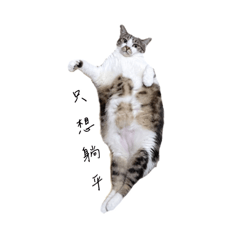 Ah_Ming_Family