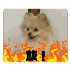 happp_20240606212329