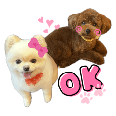 milkomu_20240606141410