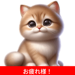 Cute Cats Stickers@2