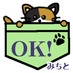 Michito's Pocket Cat's
