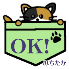 Michitaka's Pocket Cat's