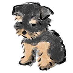 Nerissa painting Yorkshire terrier