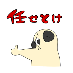 pugmodoki_20240606020143